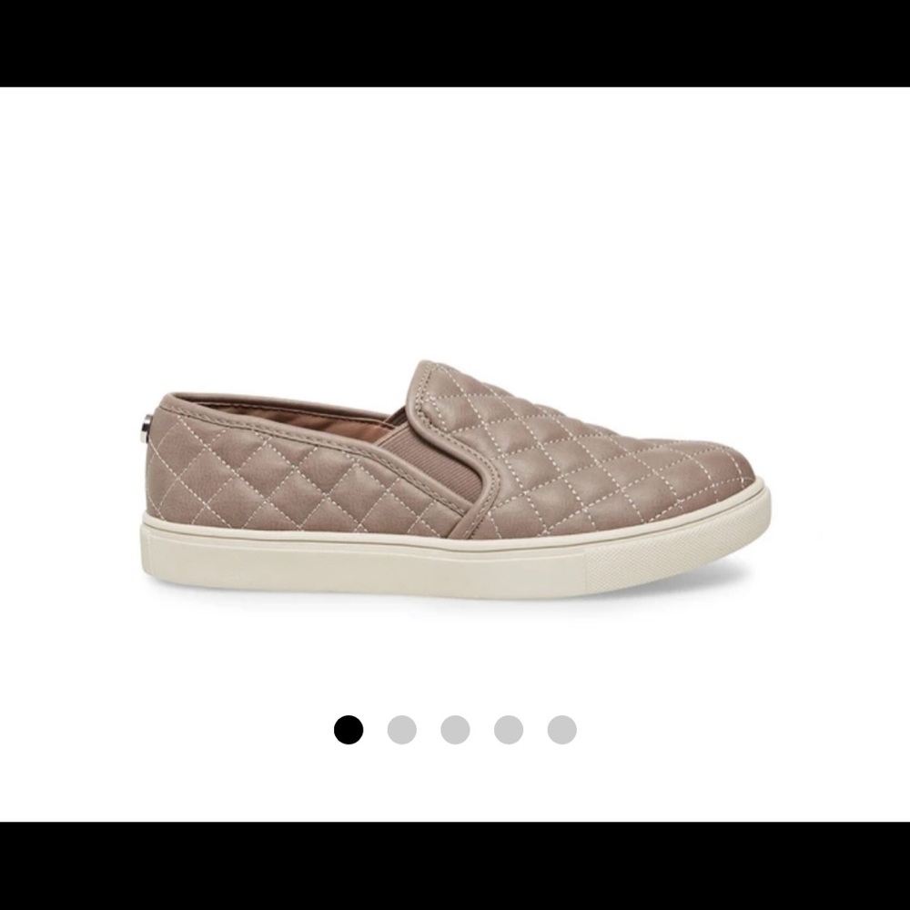 Steve Madden Ecentrcq